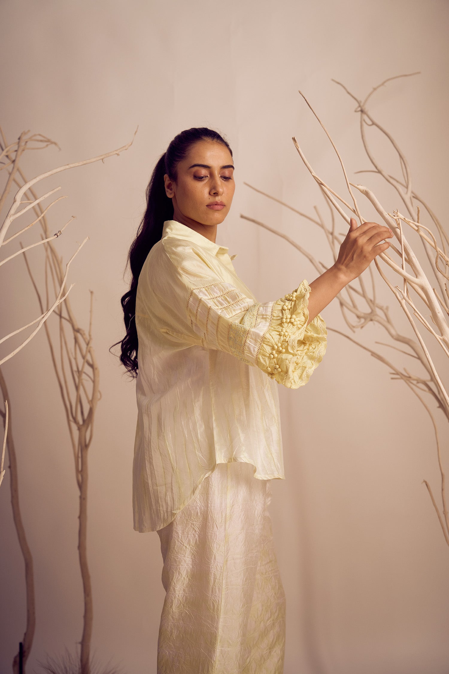 Butterfly - Kamini